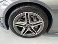 Mercedes-Benz C 220 Cabrio 220d 9G-Tronic Gris - thumbnail 22