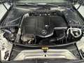 Mercedes-Benz C 220 Cabrio 220d 9G-Tronic Gris - thumbnail 49