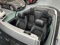Mercedes-Benz C 220 Cabrio 220d 9G-Tronic Gris - thumbnail 24
