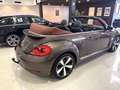 Volkswagen Beetle 2.0TDI R-Line DSG 110kW Brun - thumbnail 3