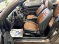 Volkswagen Beetle 2.0TDI R-Line DSG 110kW Brun - thumbnail 14