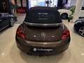 Volkswagen Beetle 2.0TDI R-Line DSG 110kW Brun - thumbnail 30