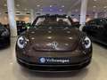 Volkswagen Beetle 2.0TDI R-Line DSG 110kW Brun - thumbnail 26