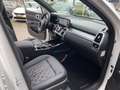 Kia Sorento 1.6 T-GDI Hybrid 2WD ExecutiveLine 7p. 19.000Km // Wit - thumbnail 8