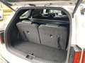 Kia Sorento 1.6 T-GDI Hybrid 2WD ExecutiveLine 7p. 19.000Km // White - thumbnail 7