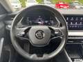 Skoda Octavia Premium TDI DSG Schwarz - thumbnail 11