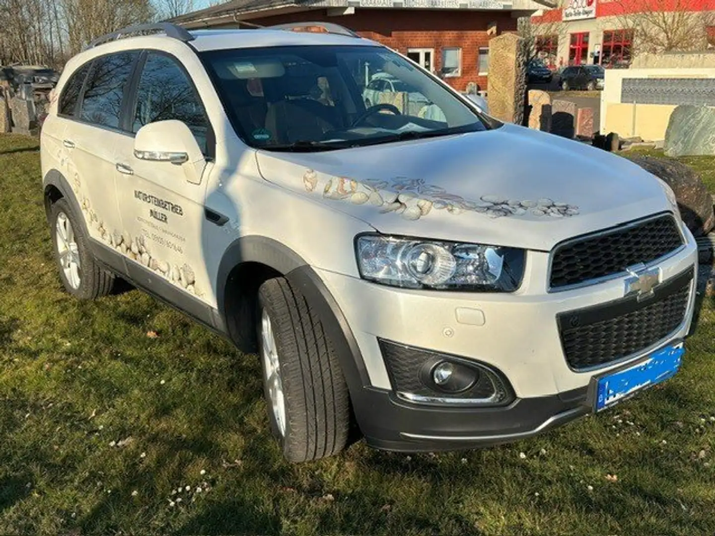 Chevrolet Captiva Captiva 2.2 Diesel 4WD LTZ Alb - 2