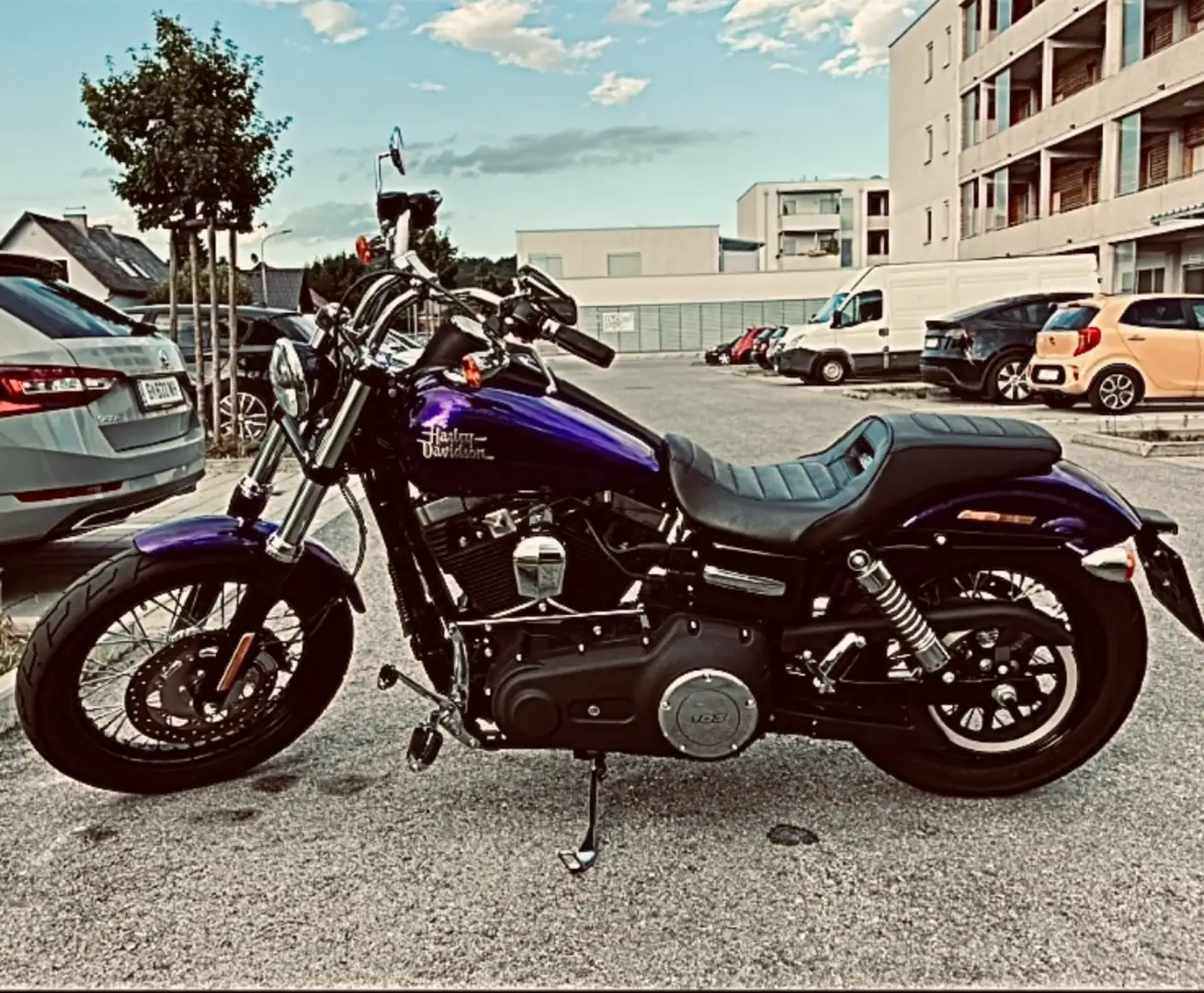 Harley-Davidson Dyna Street Bob FXDB Violet - 1