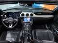 Ford Mustang 5.0 TI VCT V8 A 450CV Noir - thumbnail 22
