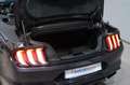 Ford Mustang 5.0 TI VCT V8 A 450CV Noir - thumbnail 21