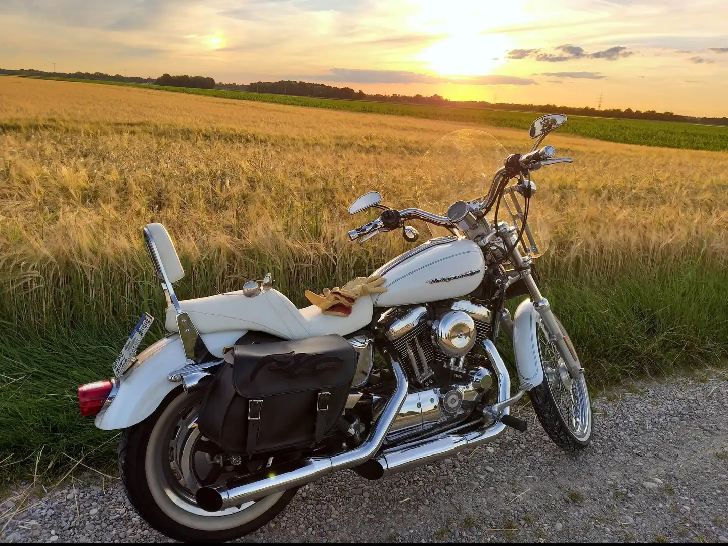 Harley-Davidson 1200 Custom XL1200c bijela - 1