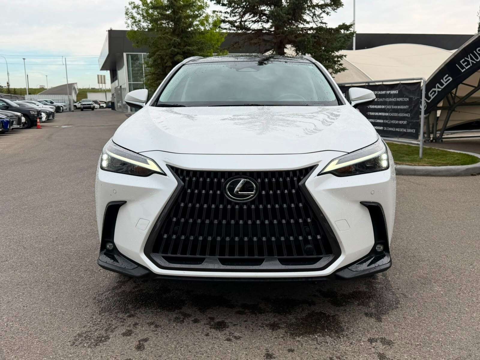 2022 Lexus NX — снимка 1