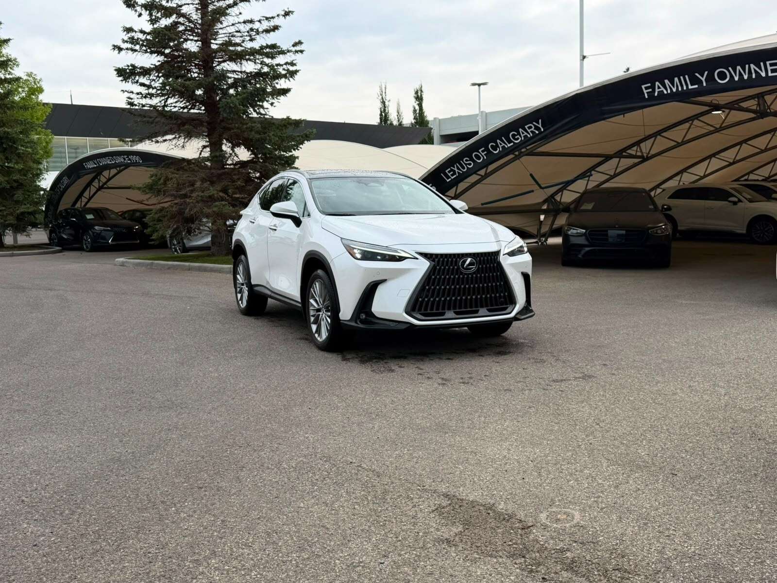 2022 Lexus NX