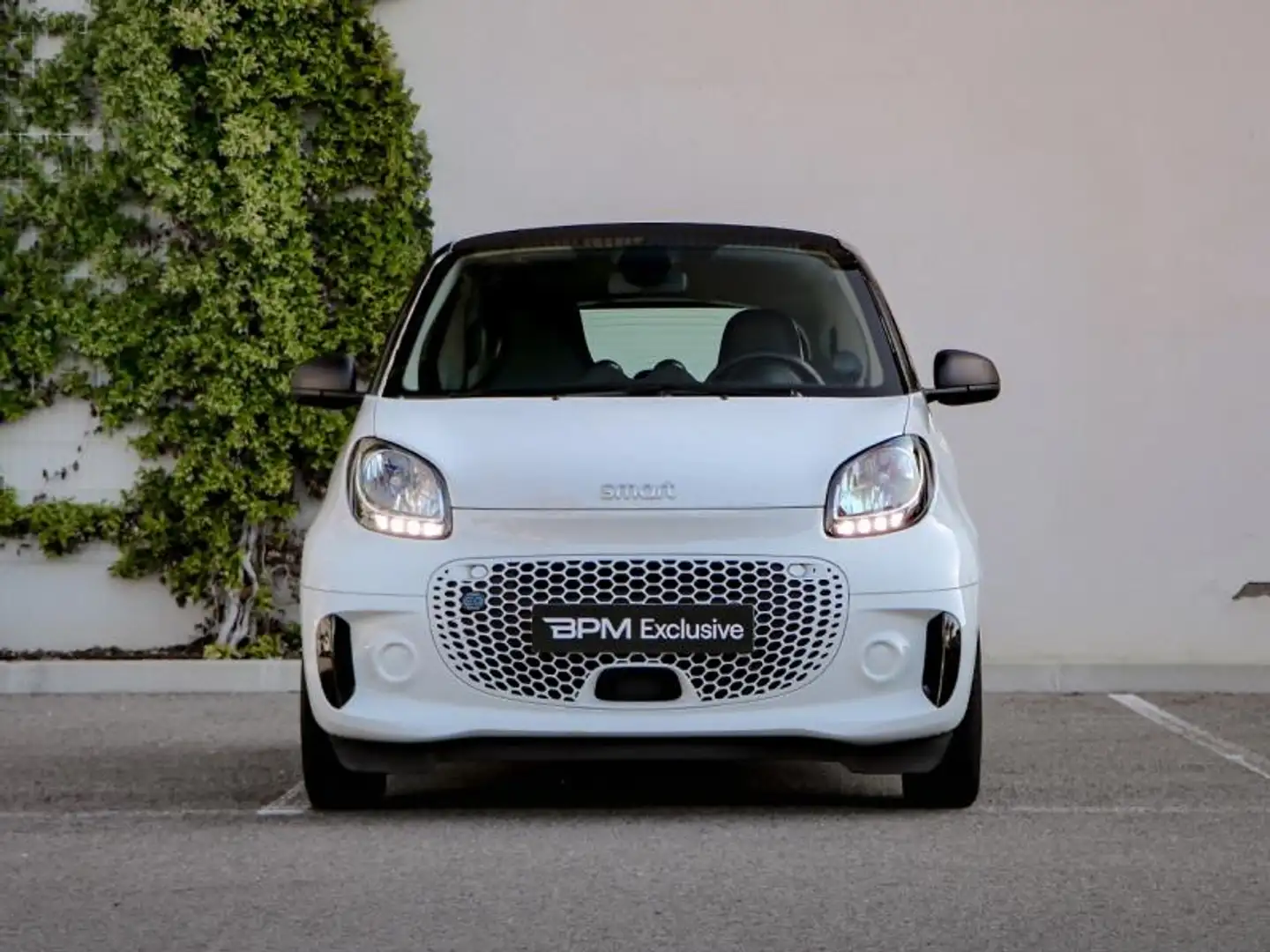 smart forTwo EQ 82ch passion Blanc - 2