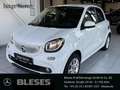 smart forFour 66 kW Passion+twinamic+Navi+LED&Sensor+Komfort-P Blanc - thumbnail 1