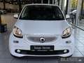 smart forFour 66 kW Passion+twinamic+Navi+LED&Sensor+Komfort-P Blanc - thumbnail 2