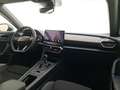 CUPRA Formentor 2.0 tdi 150cv Verde - thumbnail 14