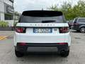 Land Rover Discovery Sport Discovery Sport 2.0 TD4 150 CV Pure Weiß - thumbnail 6
