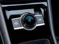 Volkswagen Tiguan R-Line 1.5 eTSI DSG IQ.LIGHT/AHK/AreaView Rot - thumbnail 11