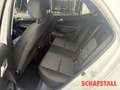 Kia Picanto Vision 1.0 Automatik Navi Kamera Sitzheizung Klima Weiß - thumbnail 15