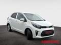 Kia Picanto Vision 1.0 Automatik Navi Kamera Sitzheizung Klima Weiß - thumbnail 8