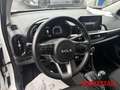 Kia Picanto Vision 1.0 Automatik Navi Kamera Sitzheizung Klima Weiß - thumbnail 16