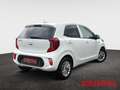 Kia Picanto Vision 1.0 Automatik Navi Kamera Sitzheizung Klima Weiß - thumbnail 6