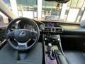 Lexus IS 300 IS 300 300h Luxury Line Grau - thumbnail 12