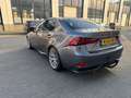 Lexus IS 300 IS 300 300h Luxury Line Grau - thumbnail 3