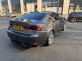 Lexus IS 300 IS 300 300h Luxury Line Grau - thumbnail 4