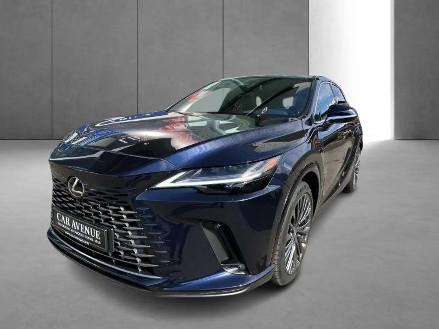 Lexus RX 450h Privilege Line Bleu - 2