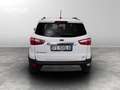 Ford EcoSport 1.0 ecoboost Plus 100cv Weiß - thumbnail 5