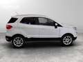 Ford EcoSport 1.0 ecoboost Plus 100cv Weiß - thumbnail 7