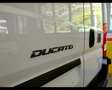 Fiat Ducato 33 MH2 2.2 mjt3 140cv White - thumbnail 27