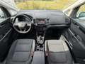 SEAT Alhambra Executive 2,0 **ALLRAD* Weiß - thumbnail 12