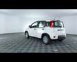 Fiat Panda 1.0 FireFly Hybrid Bianco - thumbnail 13