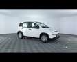 Fiat Panda 1.0 FireFly Hybrid Bianco - thumbnail 6