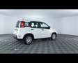 Fiat Panda 1.0 FireFly Hybrid Bianco - thumbnail 9