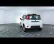 Fiat Panda 1.0 FireFly Hybrid Bianco - thumbnail 12