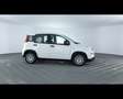 Fiat Panda 1.0 FireFly Hybrid Bianco - thumbnail 7