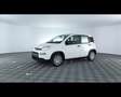 Fiat Panda 1.0 FireFly Hybrid Bianco - thumbnail 1