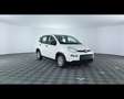 Fiat Panda 1.0 FireFly Hybrid Bianco - thumbnail 5