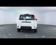 Fiat Panda 1.0 FireFly Hybrid Bianco - thumbnail 11