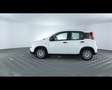 Fiat Panda 1.0 FireFly Hybrid Bianco - thumbnail 15