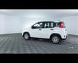 Fiat Panda 1.0 FireFly Hybrid Bianco - thumbnail 14