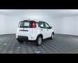 Fiat Panda 1.0 FireFly Hybrid Bianco - thumbnail 10