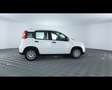Fiat Panda 1.0 FireFly Hybrid Bianco - thumbnail 8