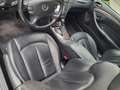 Mercedes-Benz CLK 350 CLK Cabrio 350 7G-TRONIC Avantgarde Nero - thumbnail 14