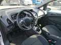 Ford B-Max 1.6 TDCi 95cv TITANIUM Argento - thumbnail 7