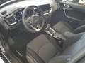 Kia Ceed / cee'd Ceed SW 1.5T 48V DCT Ultimate Style JBL Grau - thumbnail 38